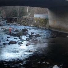 Picture of a polluted river