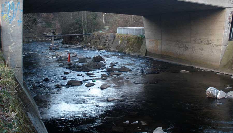 Picture of a polluted river