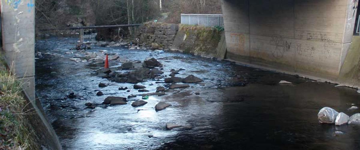 Picture of a polluted river